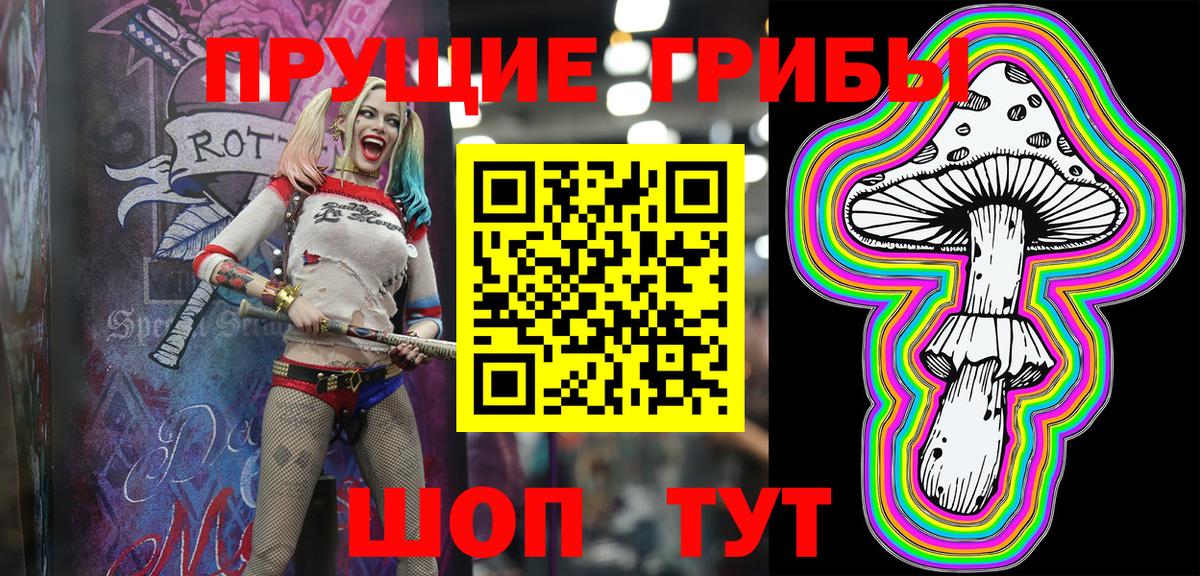 Псилоцибиновые грибы Psilocybine cubensis Томск