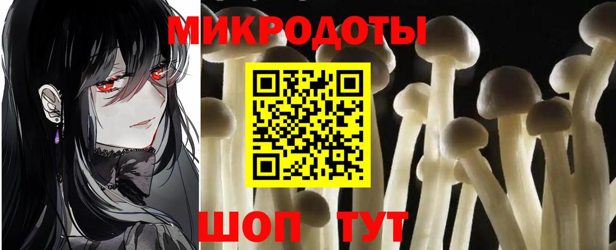 Томск  Галлюциногенные грибы Psilocybine cubensis  Вход с VPN 